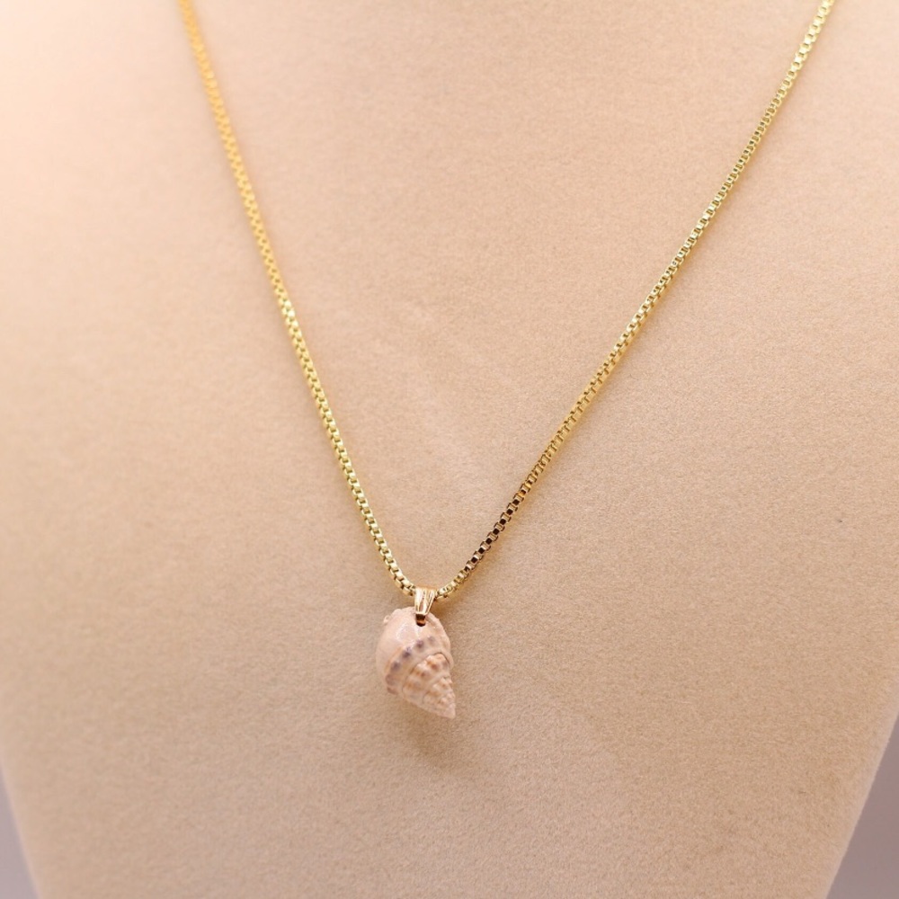 Wentletrap Shell on 14K Gold Plated Box Chain (16")